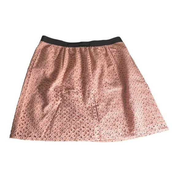 Ann Taylor Loft‎ Women’s Pink Eyelet Lace Skirt Size 12P - Picture 1 of 3